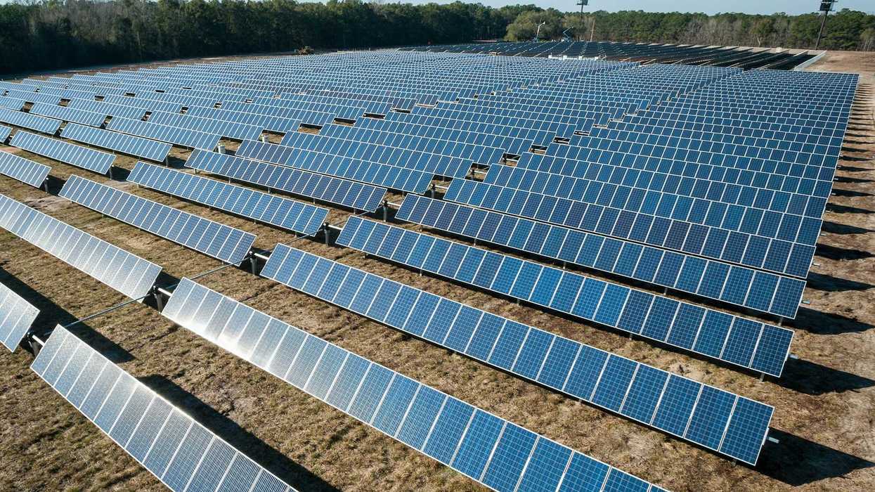 Rows of solar panels on brown ground with trees in background.