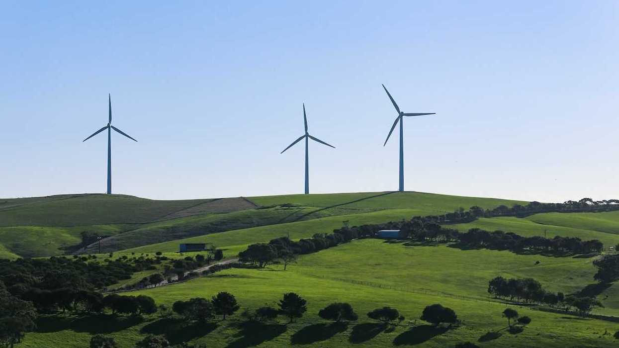 Rural hilltop wind farm . Three wind turbines towering above pastoral greenery.