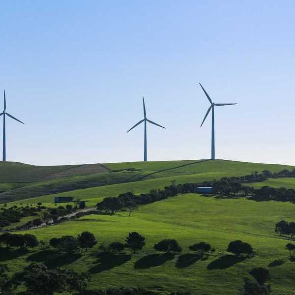 Rural hilltop wind farm . Three wind turbines towering above pastoral greenery.