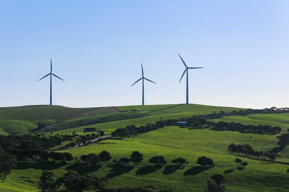 First land-based wind farm in Virginia nears completion – raises concerns for golden eagles