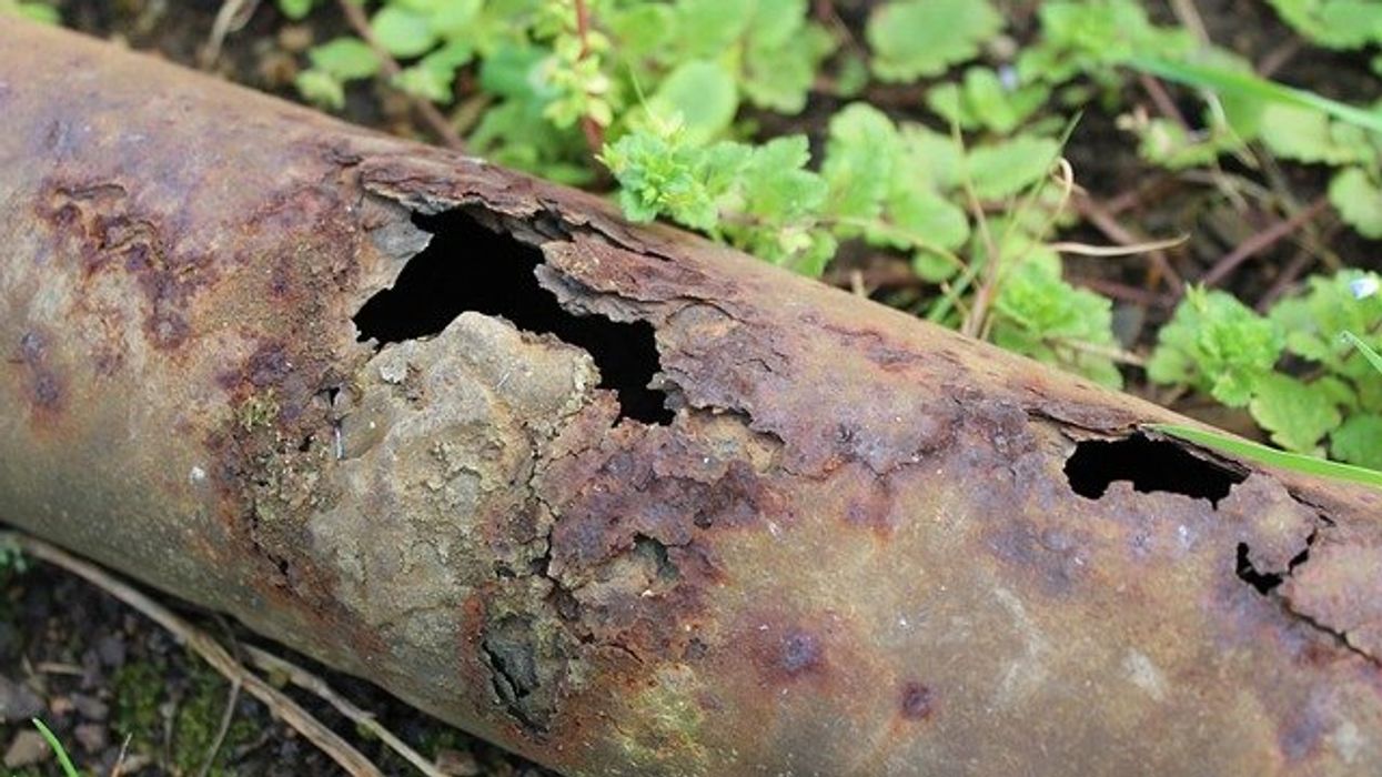 Rusty, corroded pipe lying on green plants.
