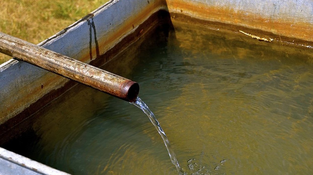 rusty pipe with water flowing into metal container