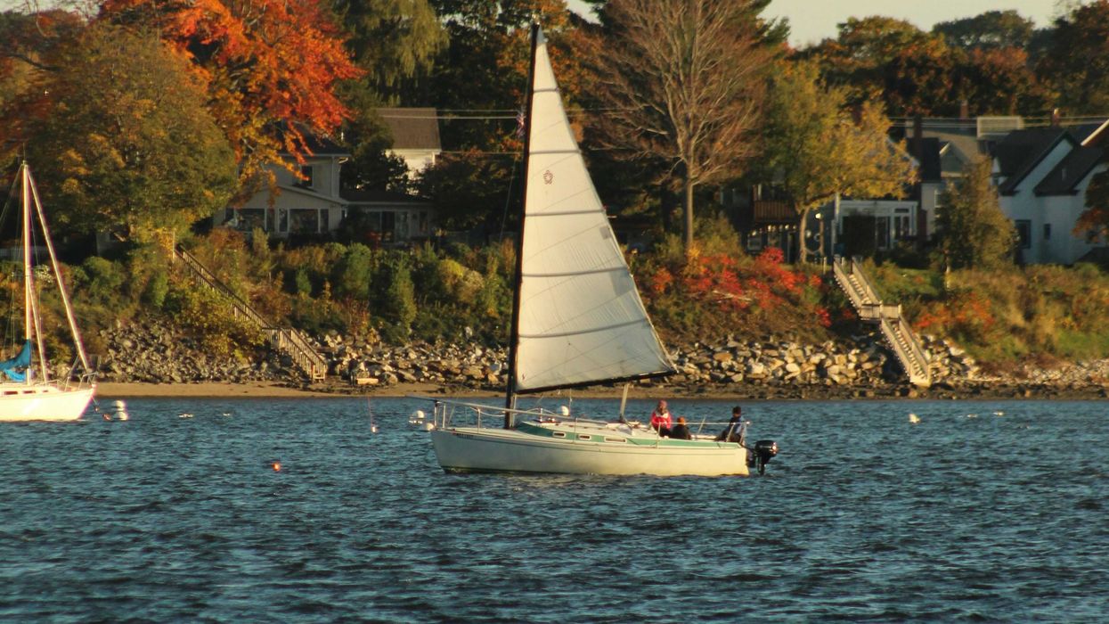 Sailboats on a body of water with trees and fall foliage and houses in background.