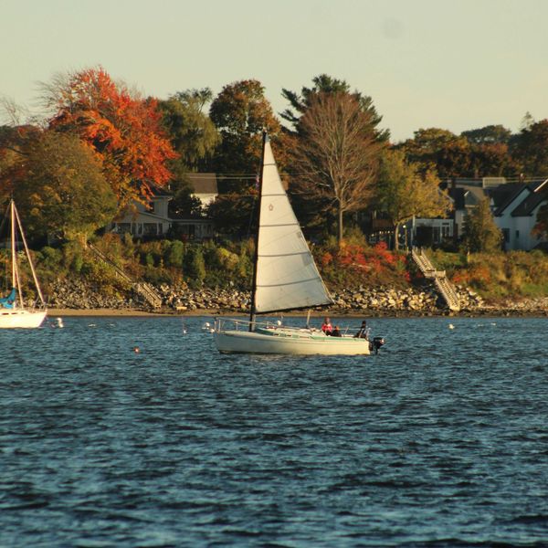 Sailboats on a body of water with trees and fall foliage and houses in background.