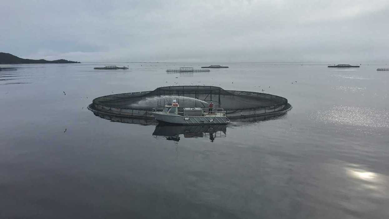 Salmon pens in Macquarie Harbour, Tasmania, Australia