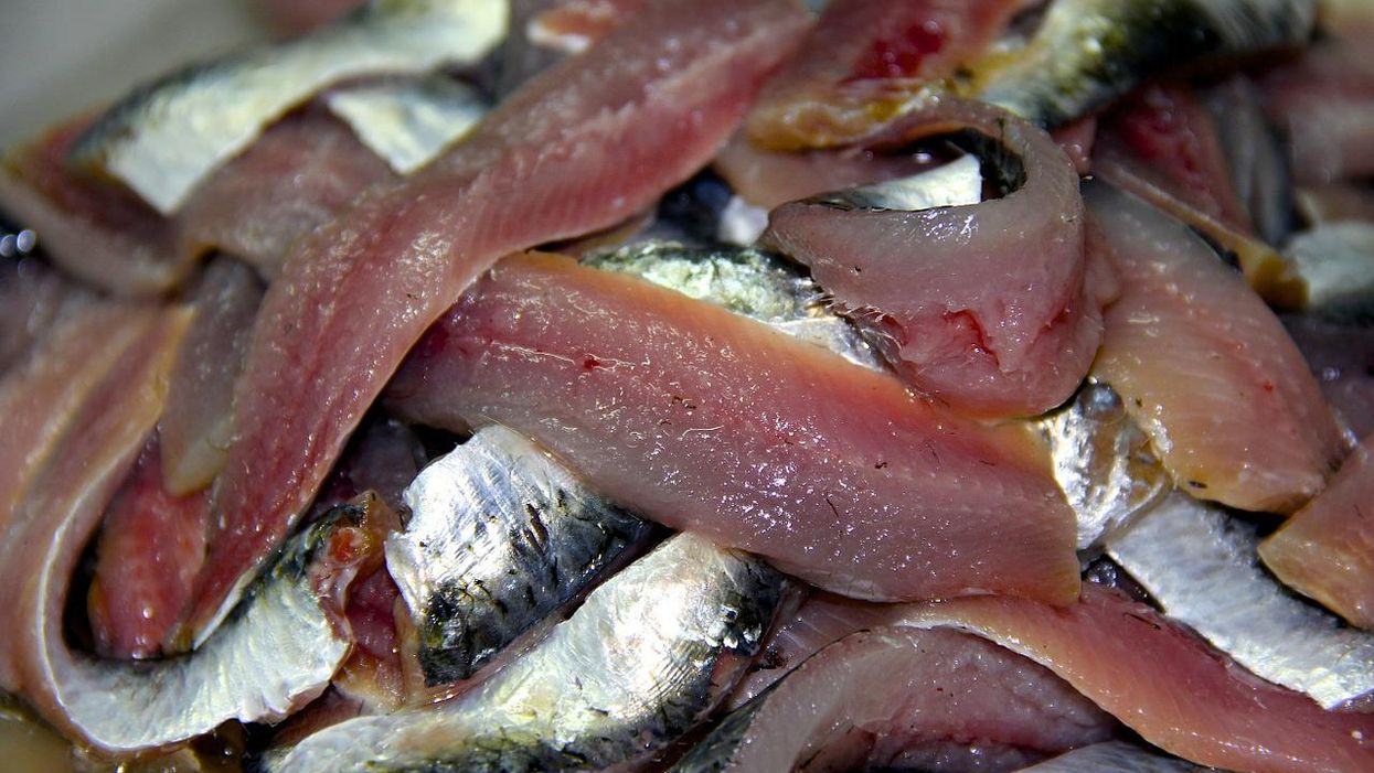 Detectan plastificantes en sardinas, anchoas y merluzas del Mediterráneo