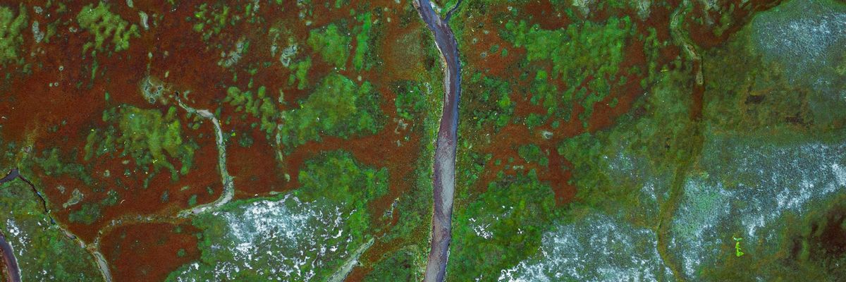 Satellite image of a river winding through green and brown areas.