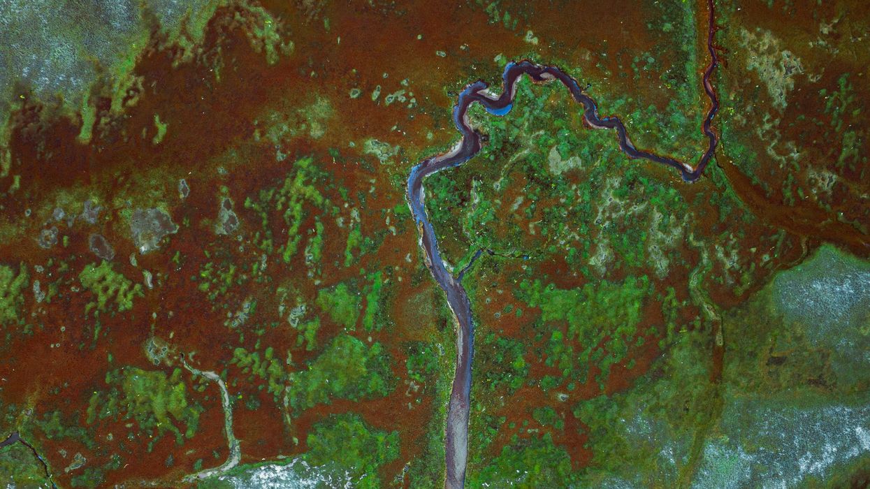 Satellite image of a river winding through green and brown areas.