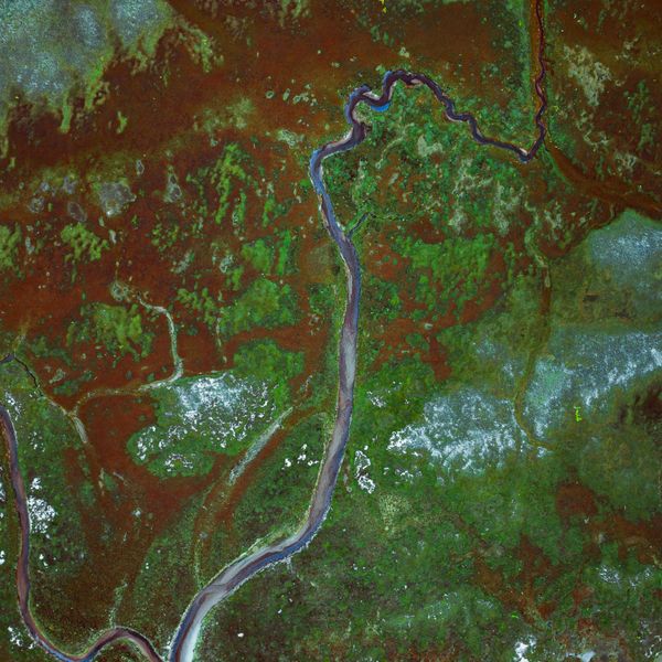 Satellite image of a river winding through green and brown areas.