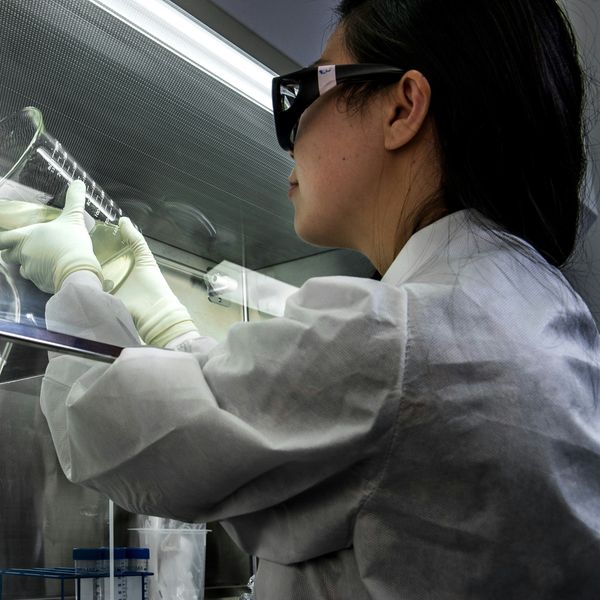 scientist lab flasks