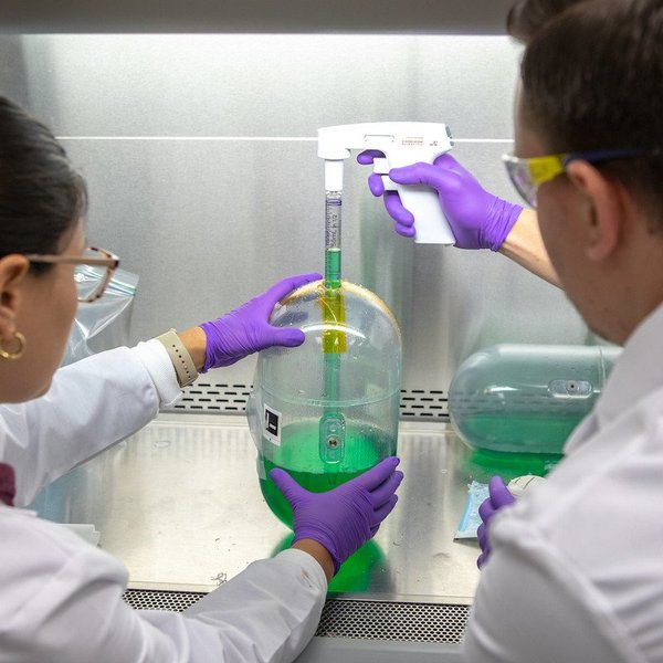 scientists conducting a test