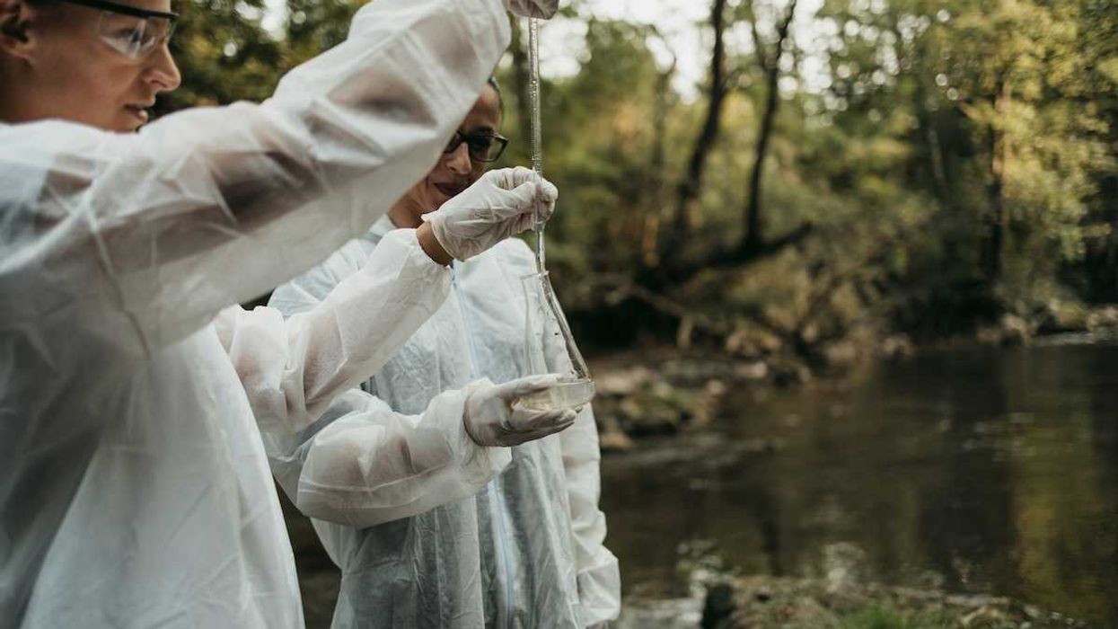 photo of Neighbors live in fear after pipeline leak in ‘Unleashing American Energy’ era image