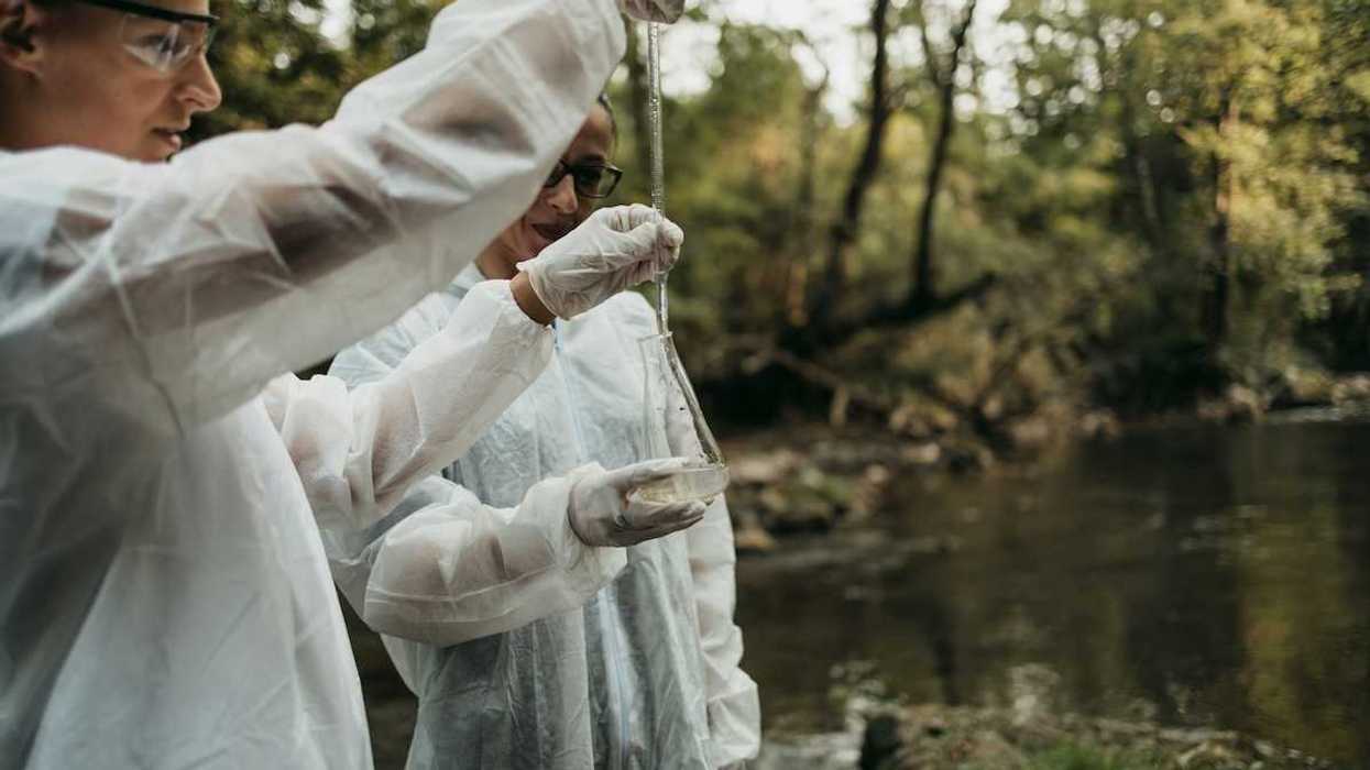 Scientists gathering water samples at a creek