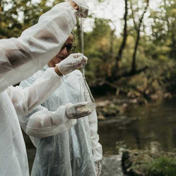 Scientists gathering water samples at a creek
