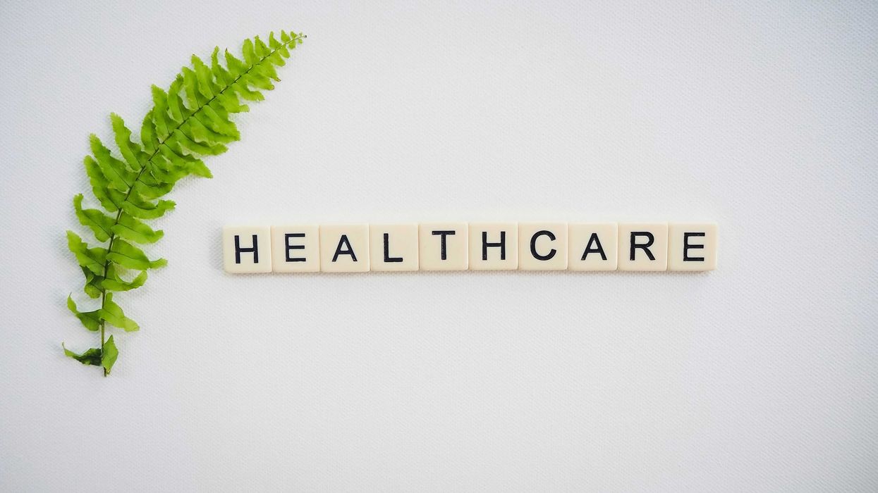 Scrabble tiles spell "healthcare" next to a green fern leaf on white background.