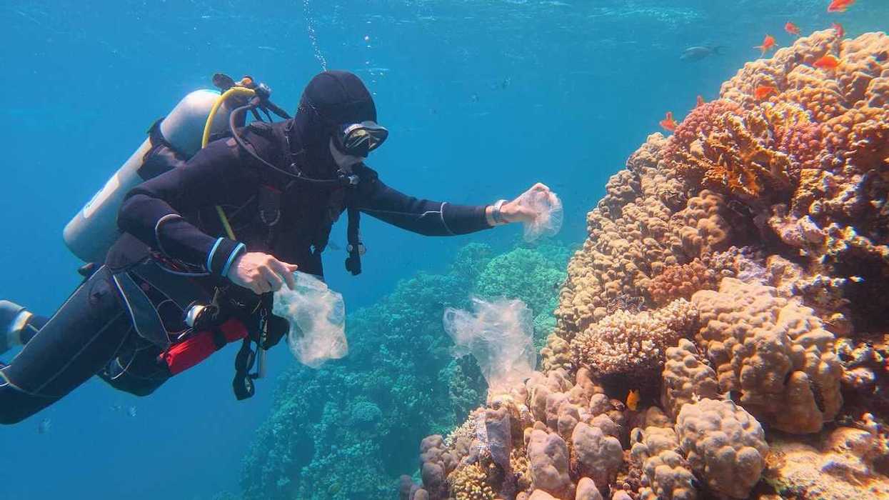Scuba diver cleaning plastic from the tropical coral reef in a world ocean contaminated by plastic.
