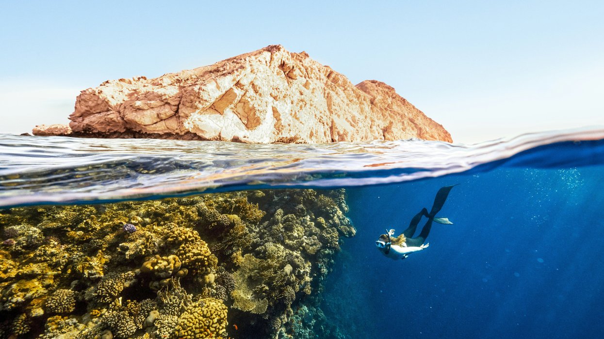 scuba diver near a coral reef