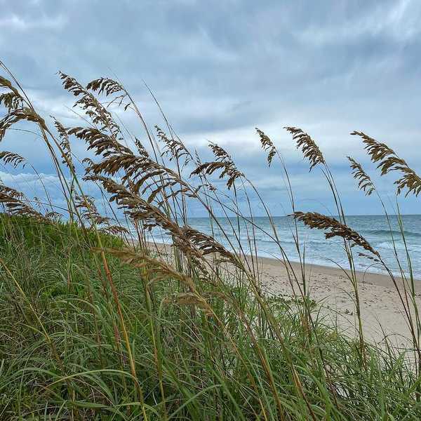 Sea oats overlooking the beach and ocean on a beautiful cloudy day along the shoreline