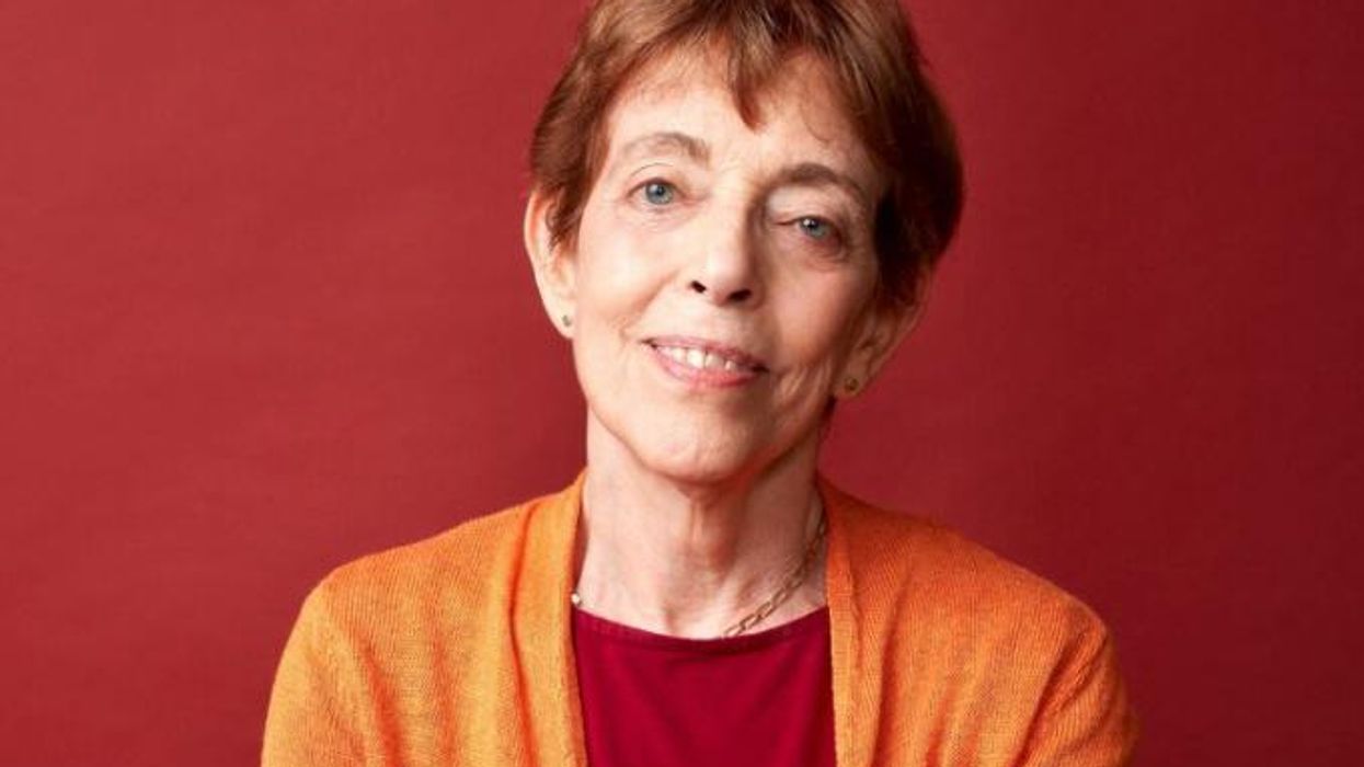 Shanna Swan Count Down author