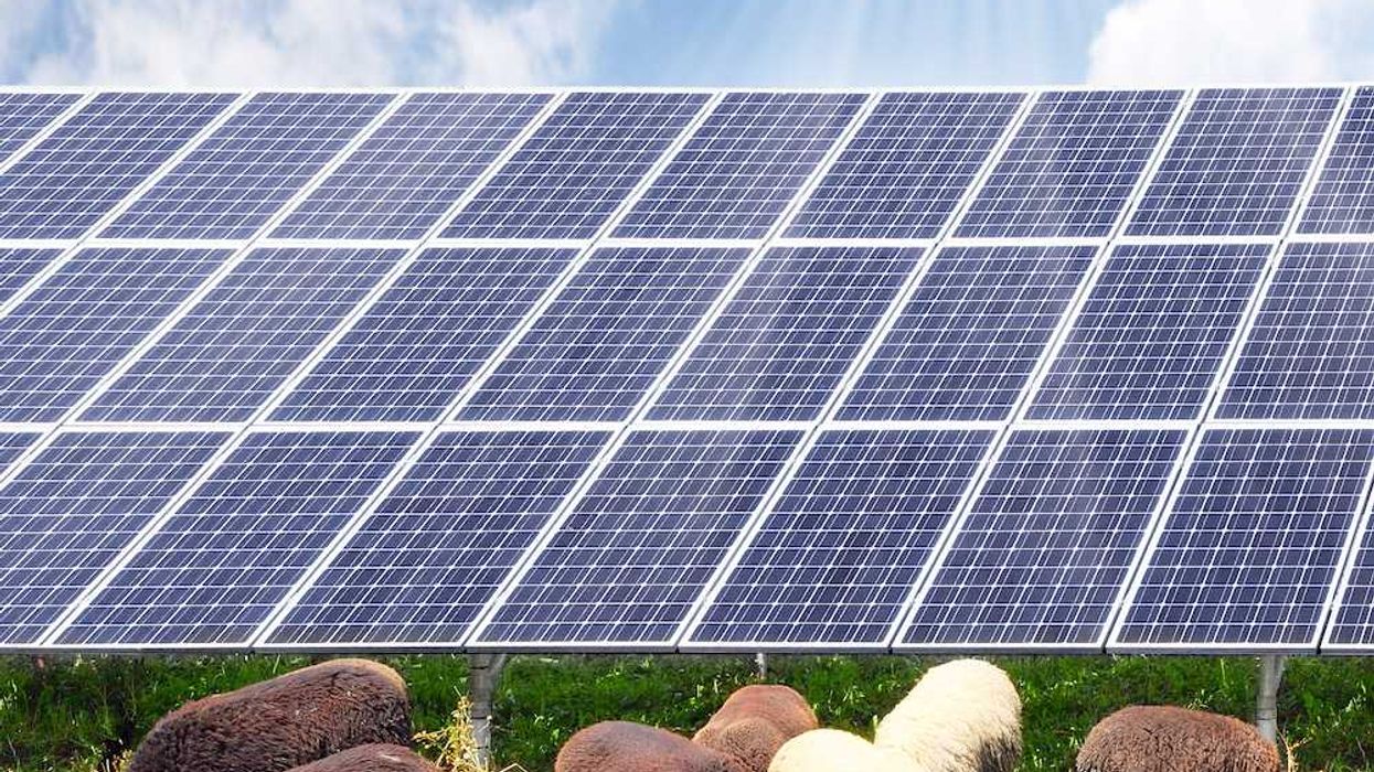 Solar has minimal impact on North Carolina farmland, new…