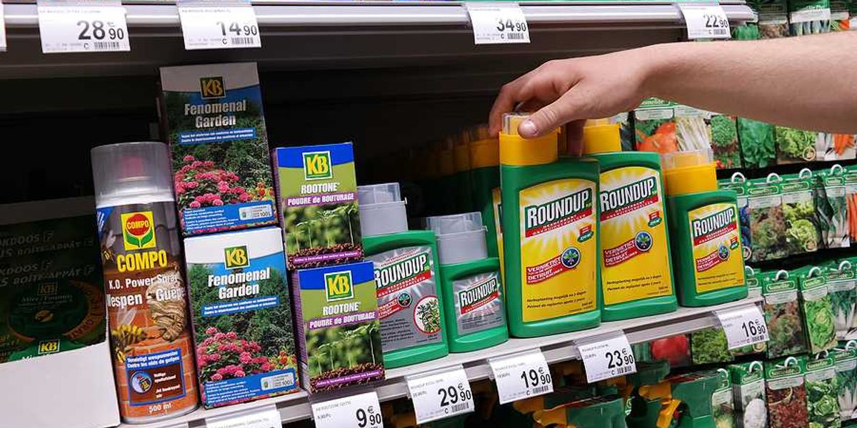 A retracted study reignites debate over Roundup and cancer