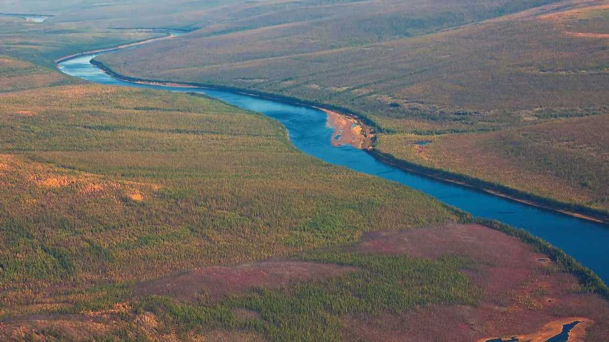 Siberian taiga and the river Tunguska fall from a helicopter. Larch taiga in September on the banks of the river and in Evenkia. Krasnoyarsk region Russia