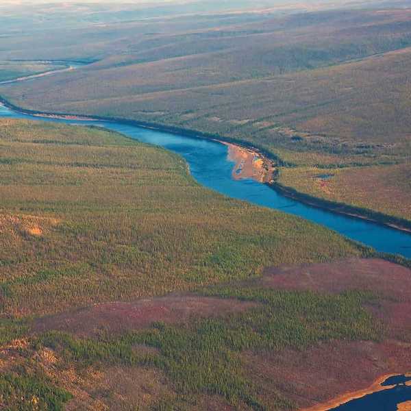 Siberian taiga and the river Tunguska fall from a helicopter. Larch taiga in September on the banks of the river and in Evenkia. Krasnoyarsk region Russia