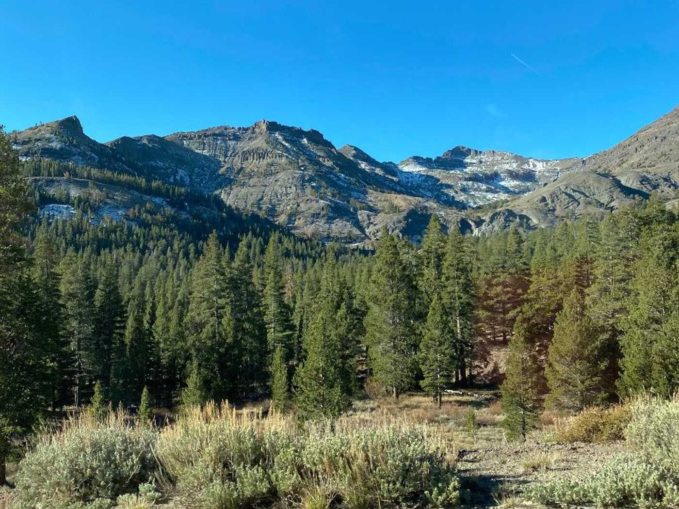 sierra nevada