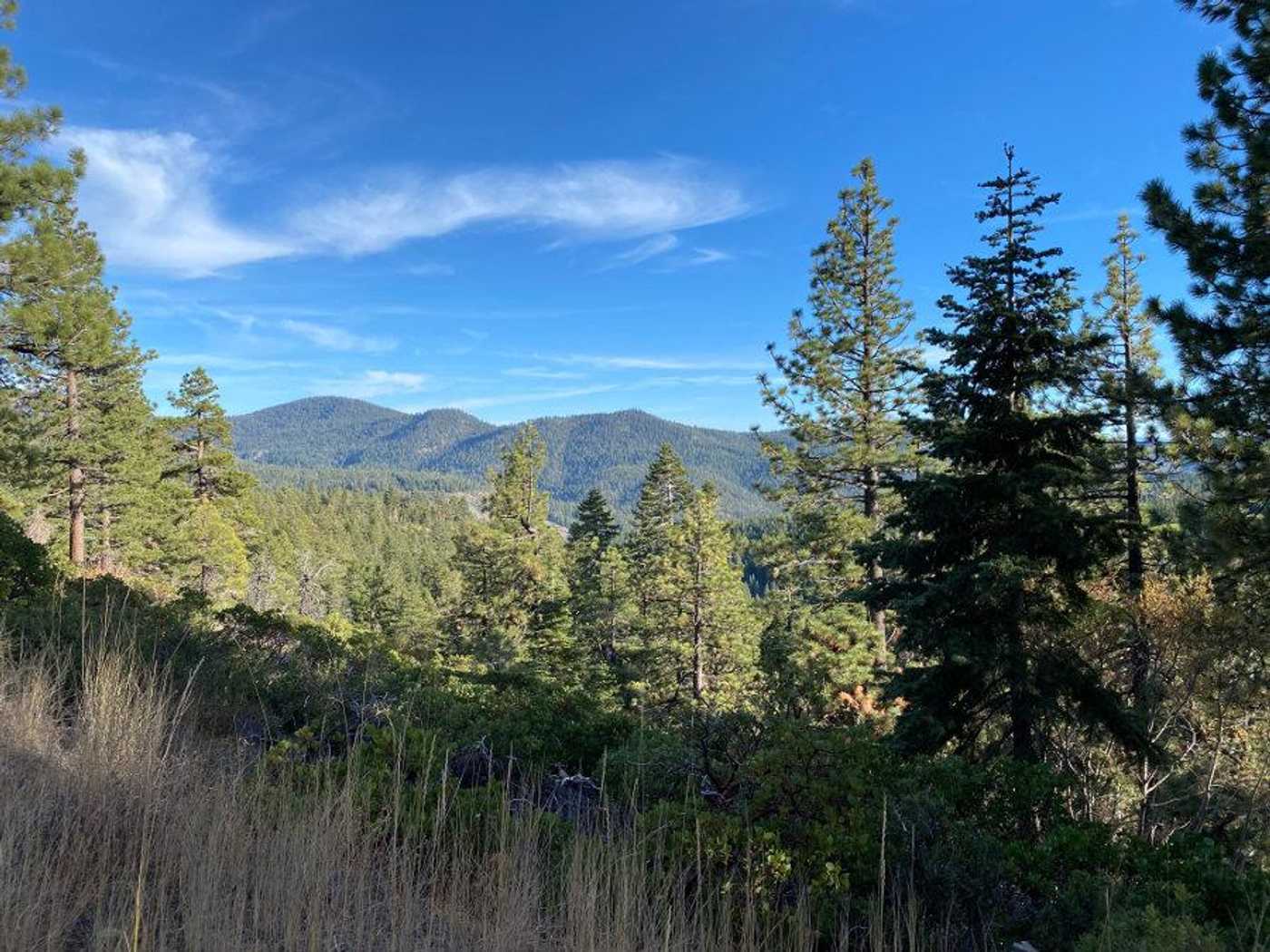 sierra nevada