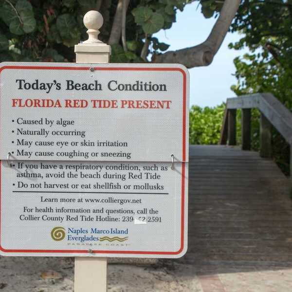 Sign at Florida beach entrance warns of red tide