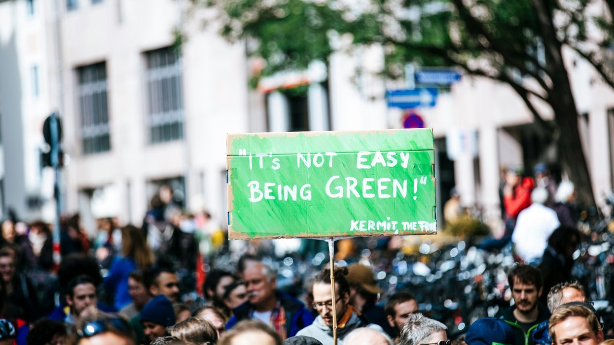 Sign held at a protest that says "It's not easy being Green"