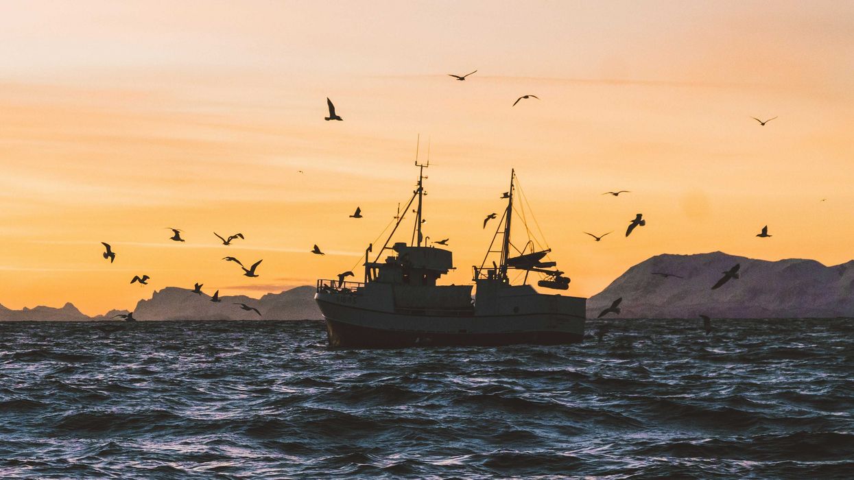 silhouette of boat on sea during sunset
