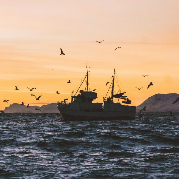 silhouette of boat on sea during sunset