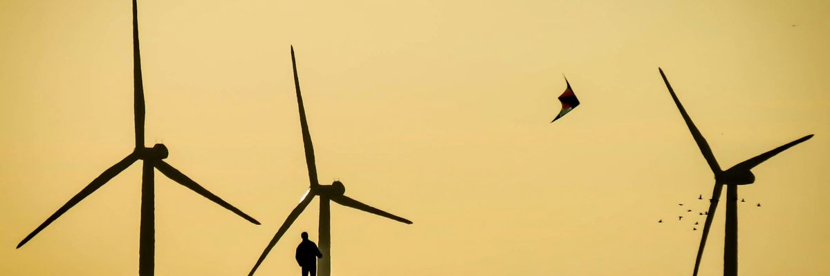 silhouette of person standing near windmills.
