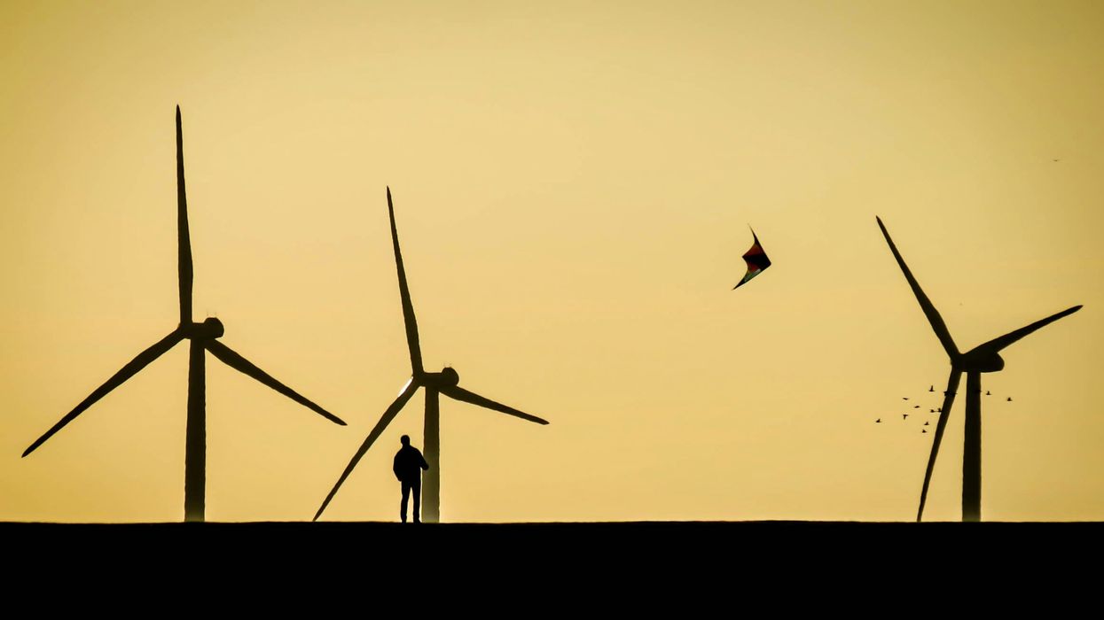 silhouette of person standing near windmills.