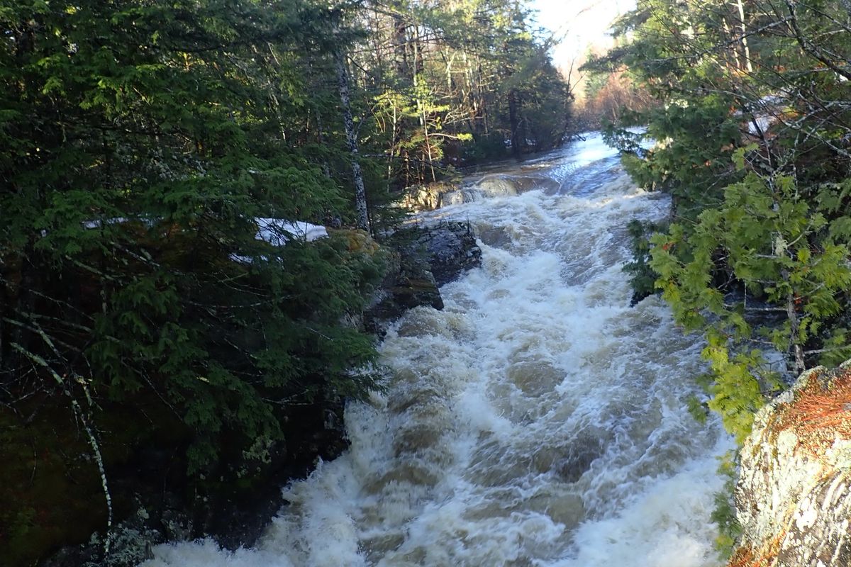 “Our community is a fishing community:” Michigan tribe seeks to set its own water standards