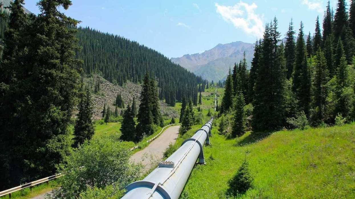 Single pipeline stretching across seemingly pristine northern terrain through green meadows and stands of conifers.
