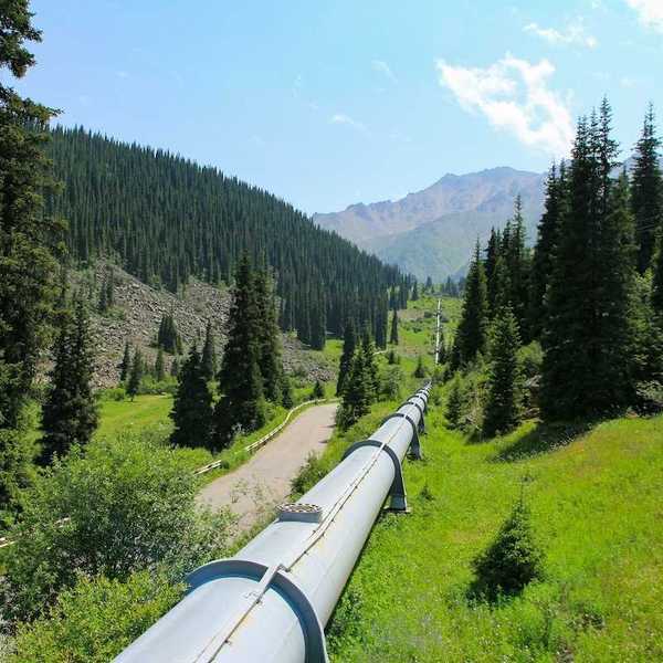Single pipeline stretching across seemingly pristine northern terrain through green meadows and stands of conifers.