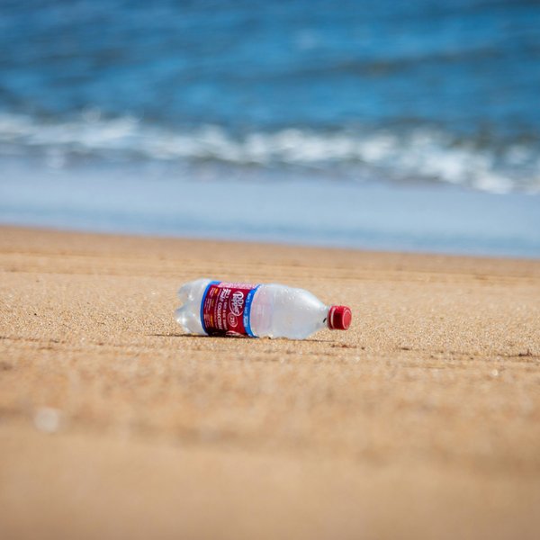 single plastic bottle on beach