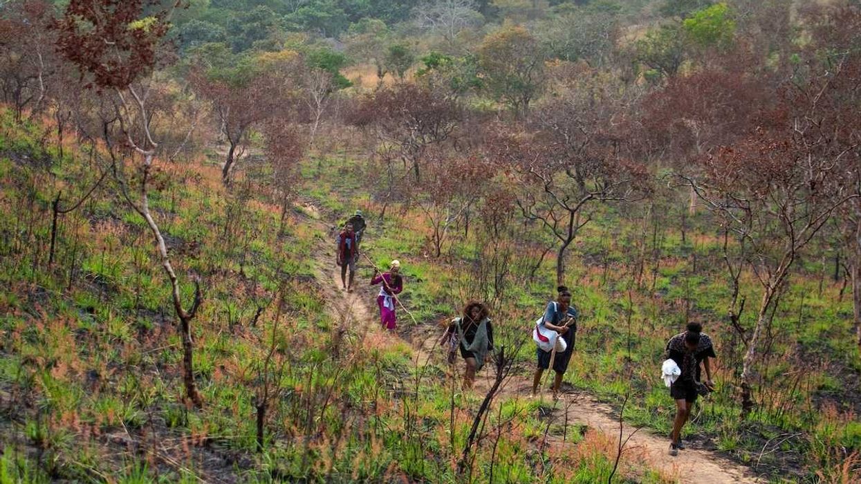 Six local people walking single file on a trail in Congo