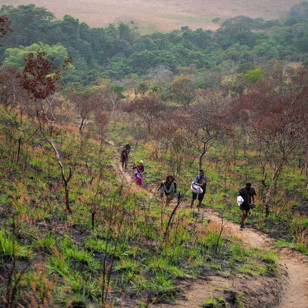 Six local people walking single file on a trail in Congo