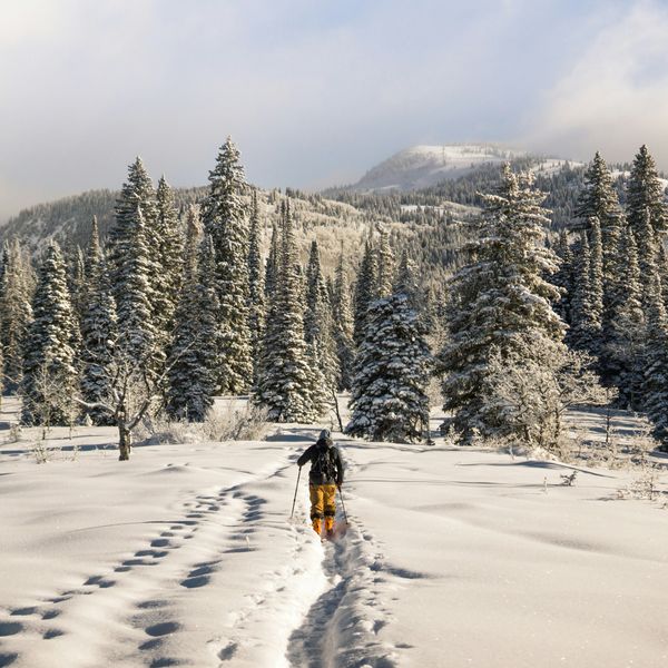 skiing