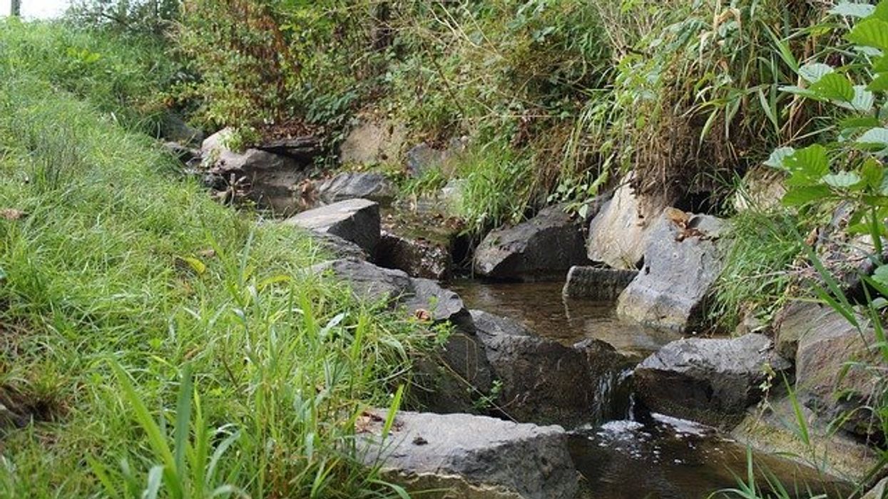Small creek with water running over rocks.