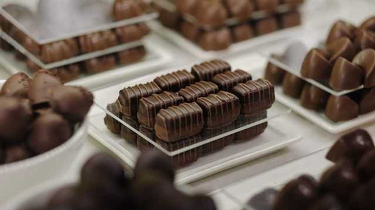 Small plates with different types of chocolate