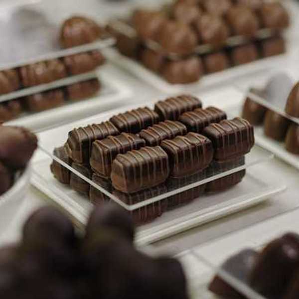 Small plates with different types of chocolate
