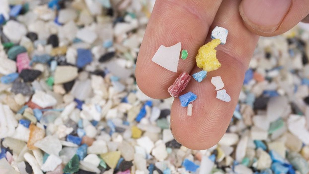 small shards of microplastic