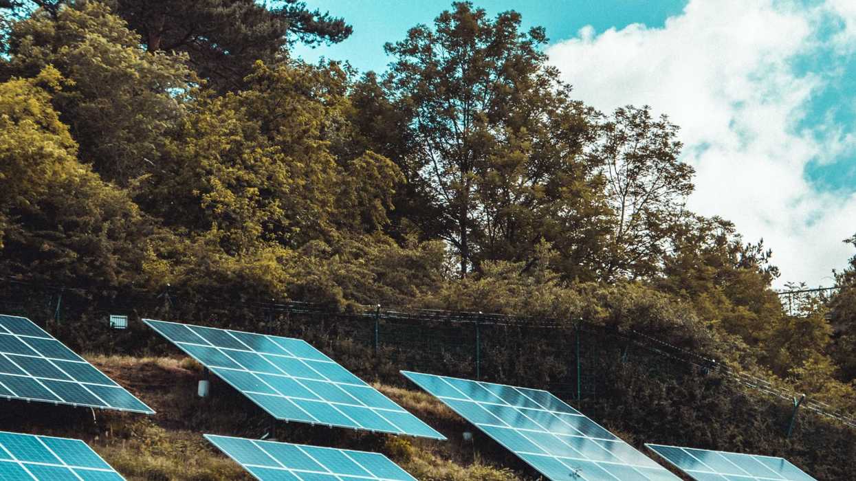 small solar panels on green grassy hillside with trees in background.