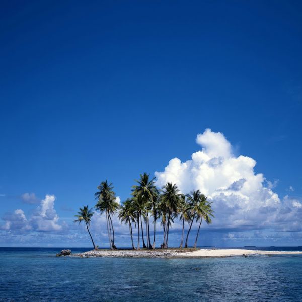 Small uninhabited South Pacific island with a dozen palm trees