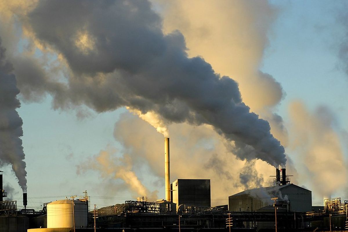 U.S. carbon emissions were falling. Why did they go up in 2025?