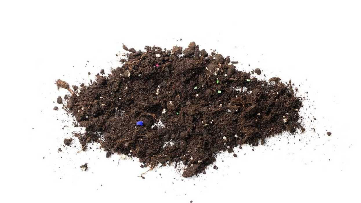 Soil contaminated with mineral fertilizers and microplastics